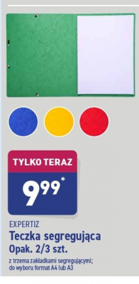 Teczka segreguj膮ca z zak艂adkami Expertiz promocja