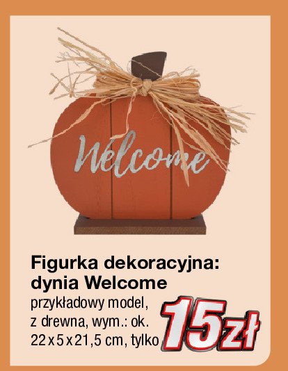 Dynia welcome promocja