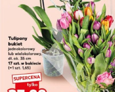 Tulipany bukiet promocja w Kaufland