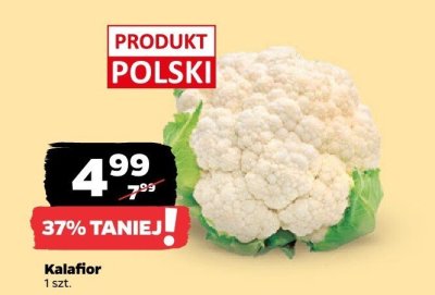 Kalafior promocja w Netto