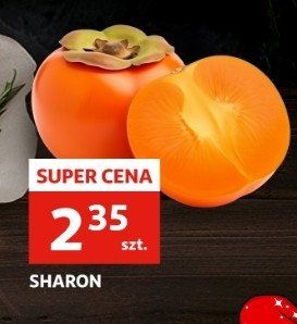 Sharon promocja