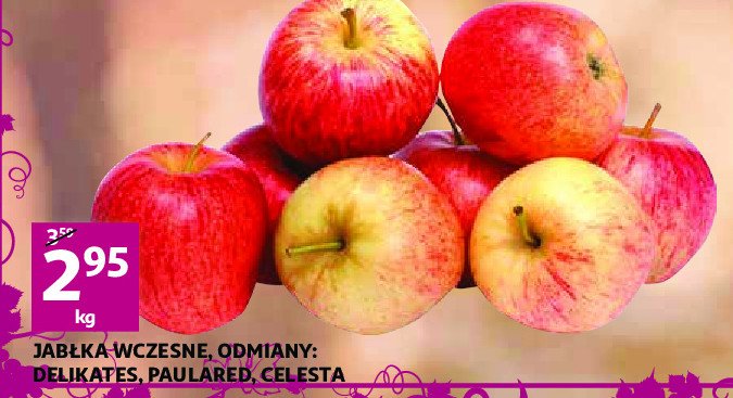 Jabłka delikates promocja