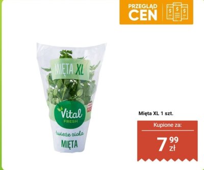 Mięta XL 1 szt. promocja w Biedronka