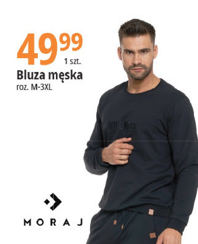 Bluza m臋ska rozm. m-3xl Moraj promocja