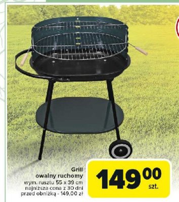 Grill owalny 55 x 39 promocja