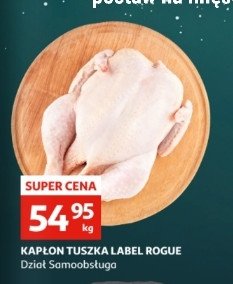 Kaczka tusza promocja