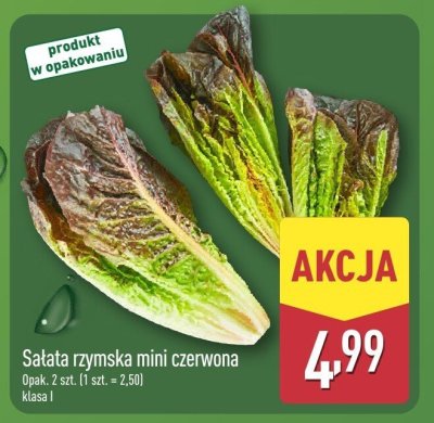 Sałata rzymska mini czerwona promocja w Aldi