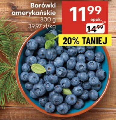 Borówki amerykańskie 300g promocja w Delikatesy Centrum