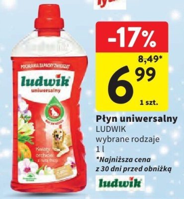 Płyn uniwersalny Ludwik promocja w Intermarche