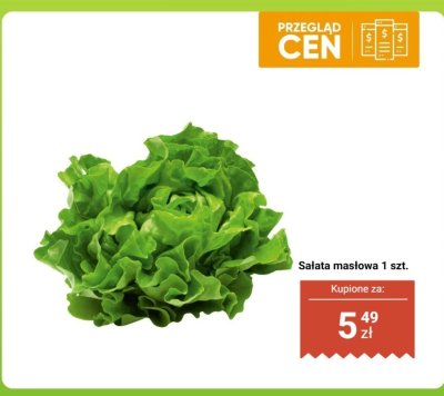 Sałata masłowa 1 szt. promocja w Biedronka