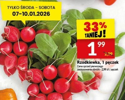 Rzodkiewka biała promocja w Twój Market