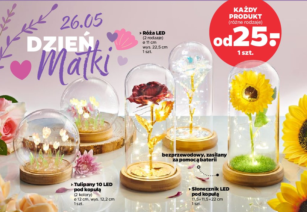 Róża led promocja w Netto