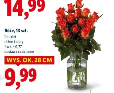 Róże, 13 szt. promocja w Lidl