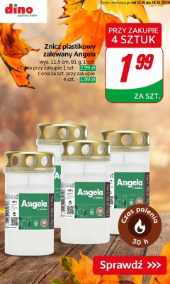 Znicz promocja w Dino