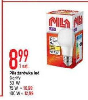 Żarówka 75 w Pila promocja