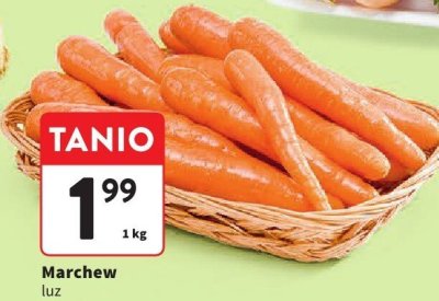 Marchew luz promocja w Intermarche