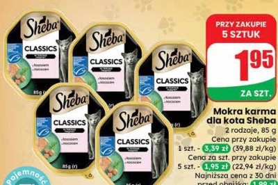 Mokra karma dla kota Classics z łososiem promocja w Dino