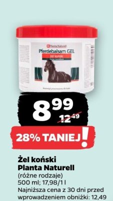 Żel koński, różne rodzaje promocja w Netto