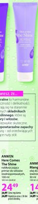 Nabłyszczający primer do włosów średnioporowatych Anwen promocja