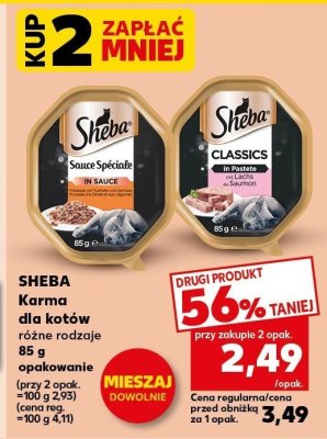 Karma dla kotów, różne rodzaje promocja w Kaufland