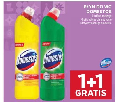Płyn do WC Domestos różne rodzaje promocja w Stokrotka