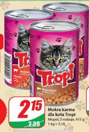 Karma dla kota z w膮tr贸bk膮 promocja