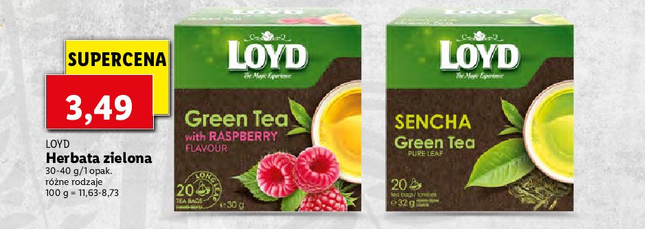 Herbata Loyd tea sencha green promocja