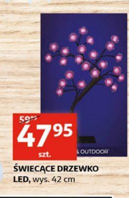 Drzewko 艣wietlne led 42 cm promocja w Aldi