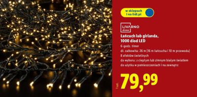 Łańcuch / girlanda 1000 diod LED  promocja w Lidl