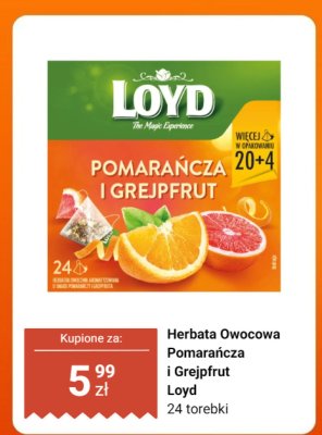 Herbata owocowa Pomarańcza i Grejpfrut Loyd promocja w Dino