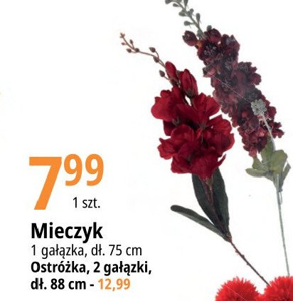 Ostr贸偶ka 88 cm promocja