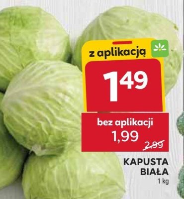 Kapusta biała zasmażana UNAMEL promocja w Stokrotka