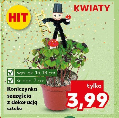 Koniczynka szczęścia z dekoracją 7 cm promocja