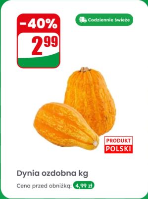 Dynia ozdobna kg promocja w Dino