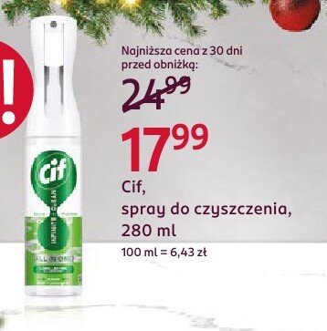 Spray do czyszczenia, 280 ml promocja w Rossmann