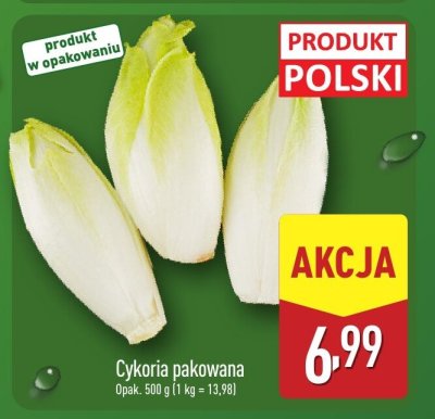 Cykoria pakowana promocja w Aldi