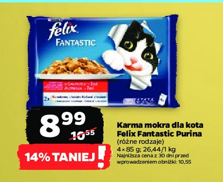 Karma dla kota wiejskie smaki Purina felix fantastic promocja