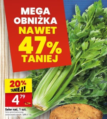 Seler nać, 1 szt. promocja w Twój Market