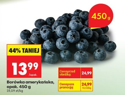 Borówka amerykańska promocja w Biedronka