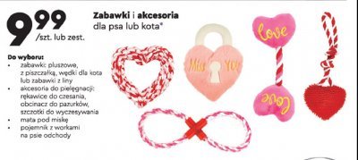 Obcinacz do pazurków Activ pet promocja