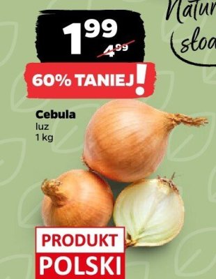 Cebula luz 1 kg Netto promocja w Netto