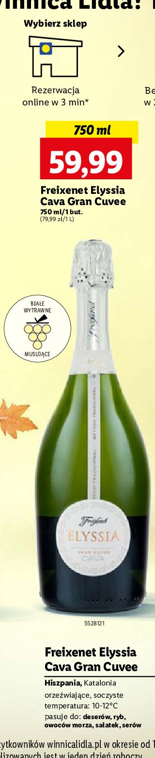 Wino Freixenet elyssia cava gran cuvee promocja w Lidl