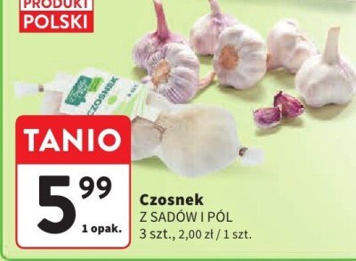 Czosnek Z SADÓW I PÓL promocja w Intermarche