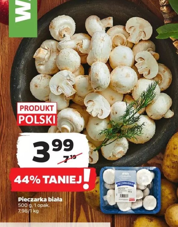 Pieczarki białe Z ZIELENIAKA NETTO promocja