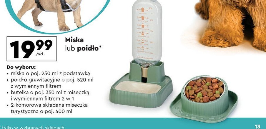 Miska dla psa z podstawką promocja