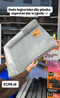 Legowisko dla psa promocja w Action