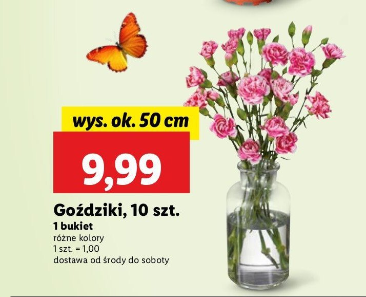 Goździki bukiet promocja