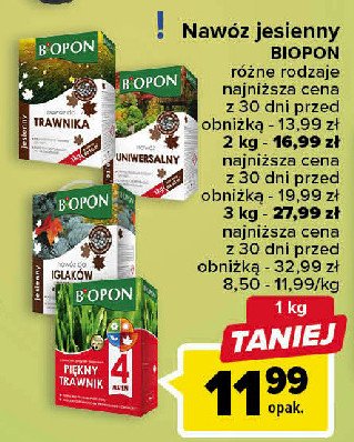 Naw贸z do trawnika pi臋kny trawnik jesie艅 Biopon promocja