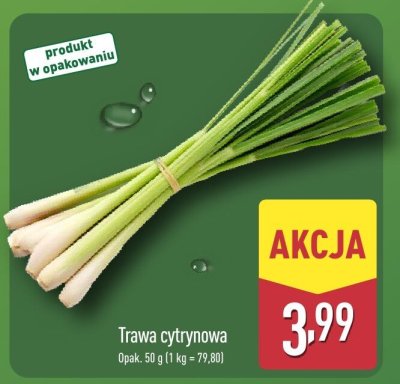 Trawa cytrynowa Aldi promocja w Aldi