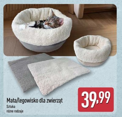 Mata dla zwierząt 40 x 60 cm promocja w Aldi